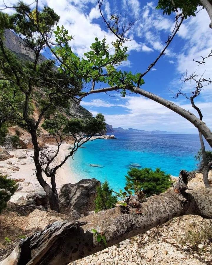 Bed and Breakfast La Perla Del Mare 2 Ла-Калетта Екстер'єр фото